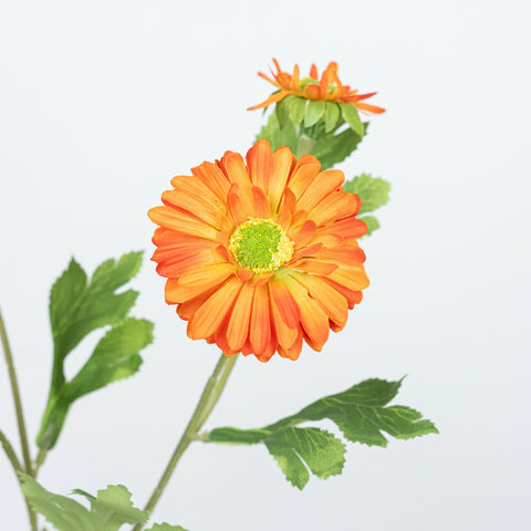 26" DAISY SPRAY