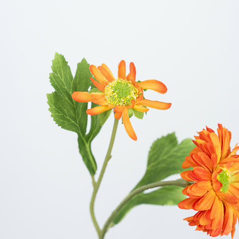 26" DAISY SPRAY