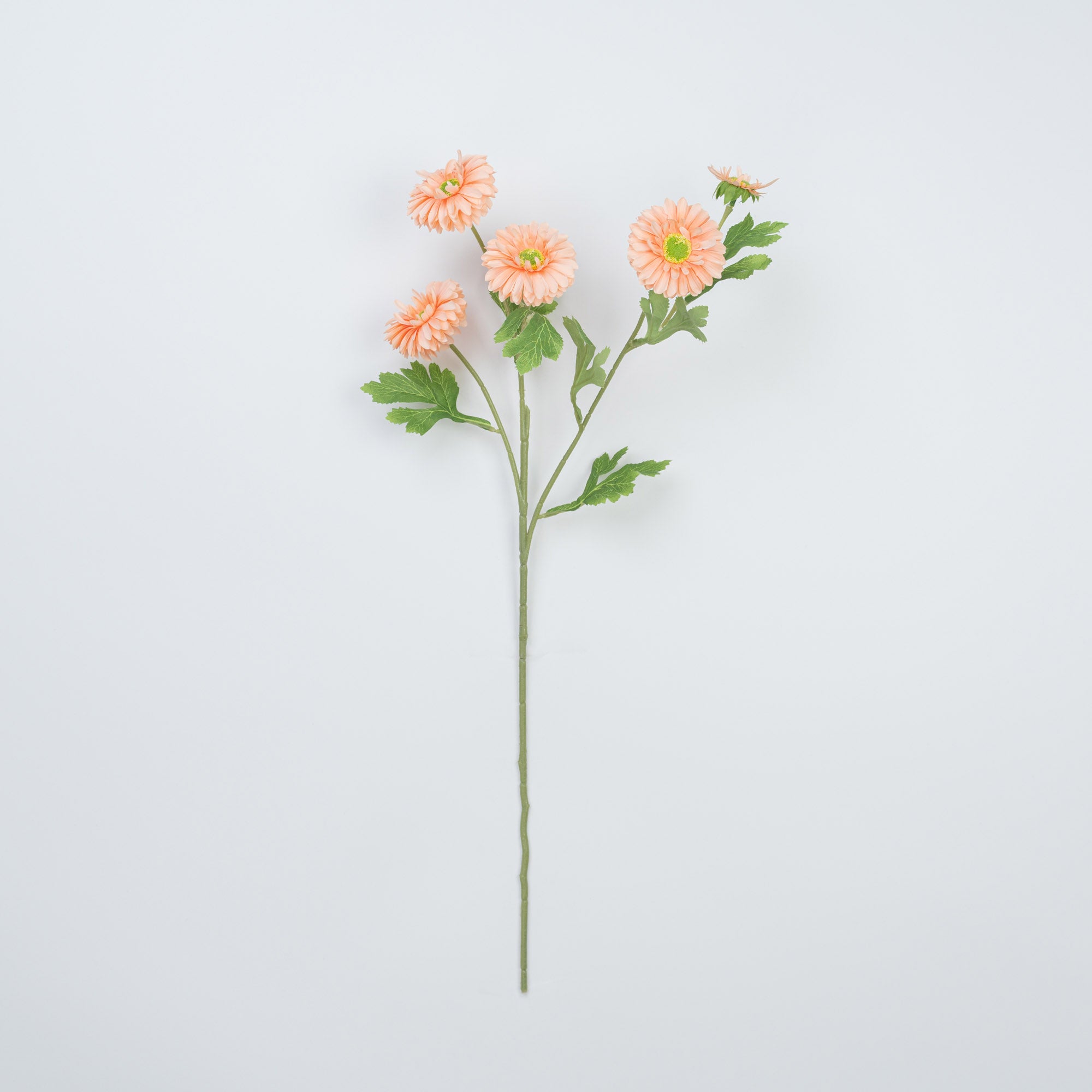 26" DAISY SPRAY