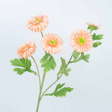 26" DAISY SPRAY
