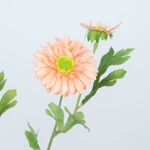 26" DAISY SPRAY