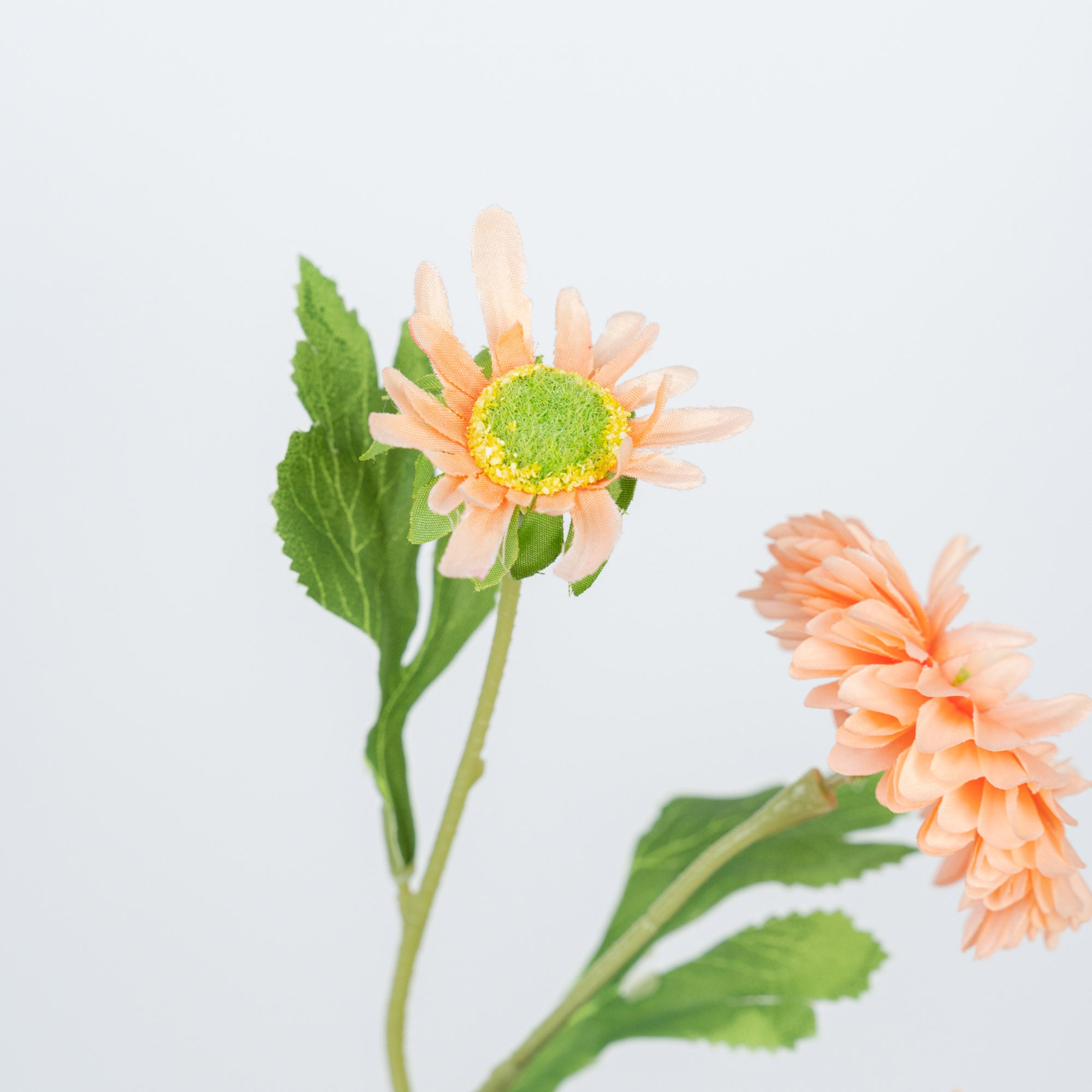 26" DAISY SPRAY