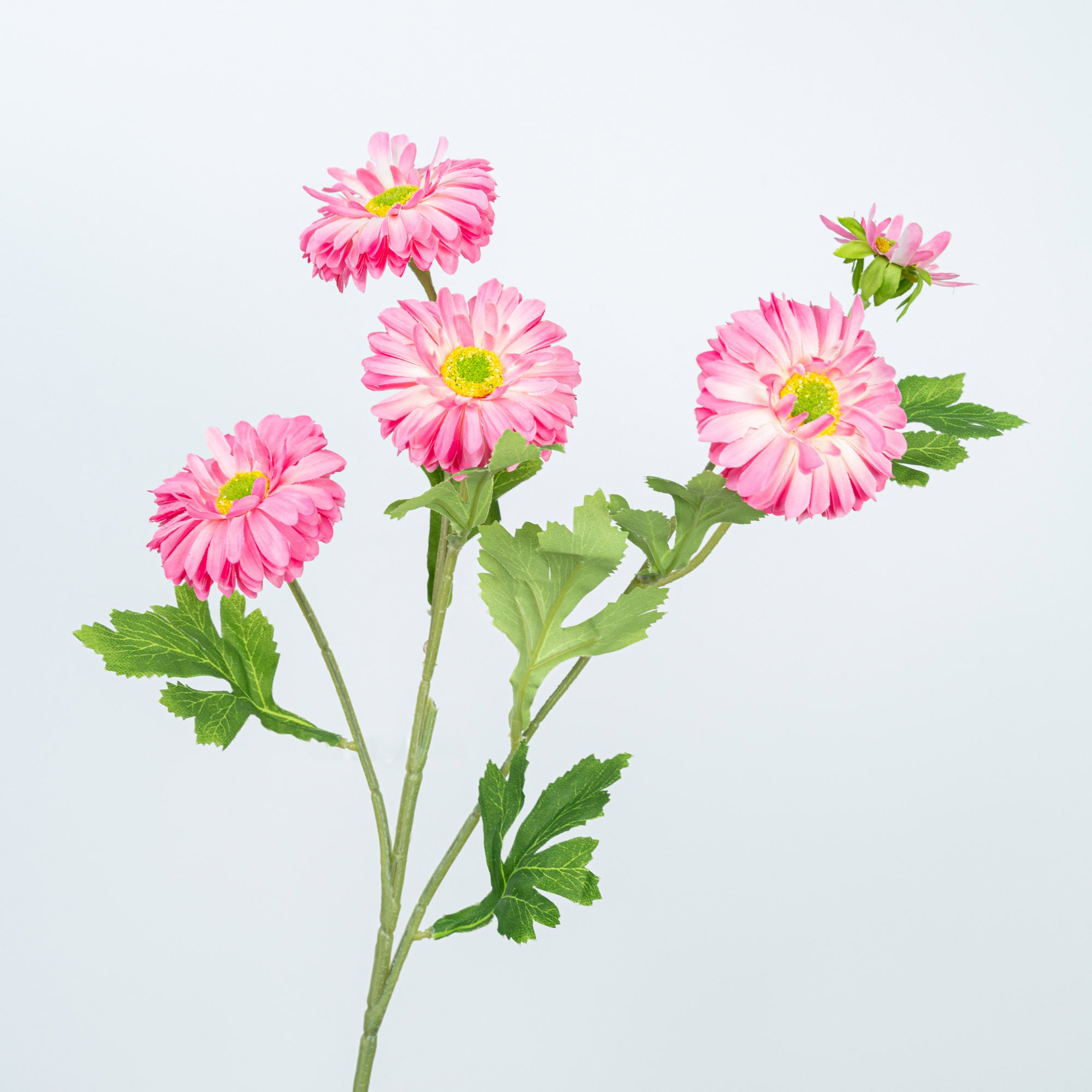26" DAISY SPRAY