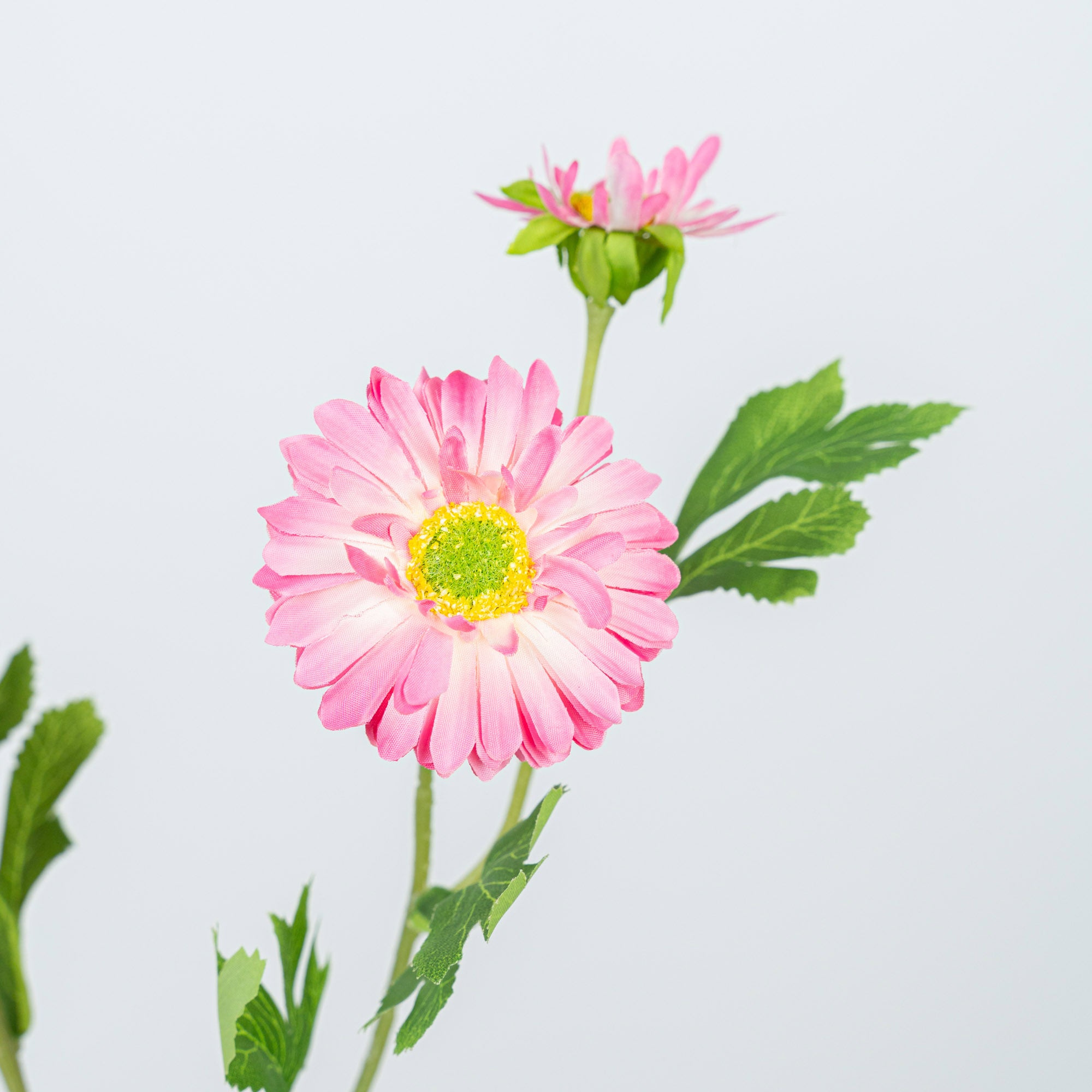 26" DAISY SPRAY