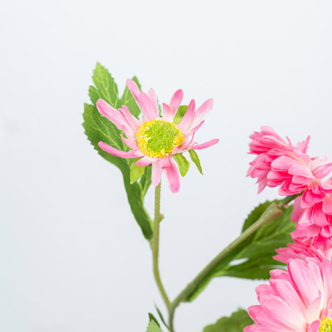 26" DAISY SPRAY