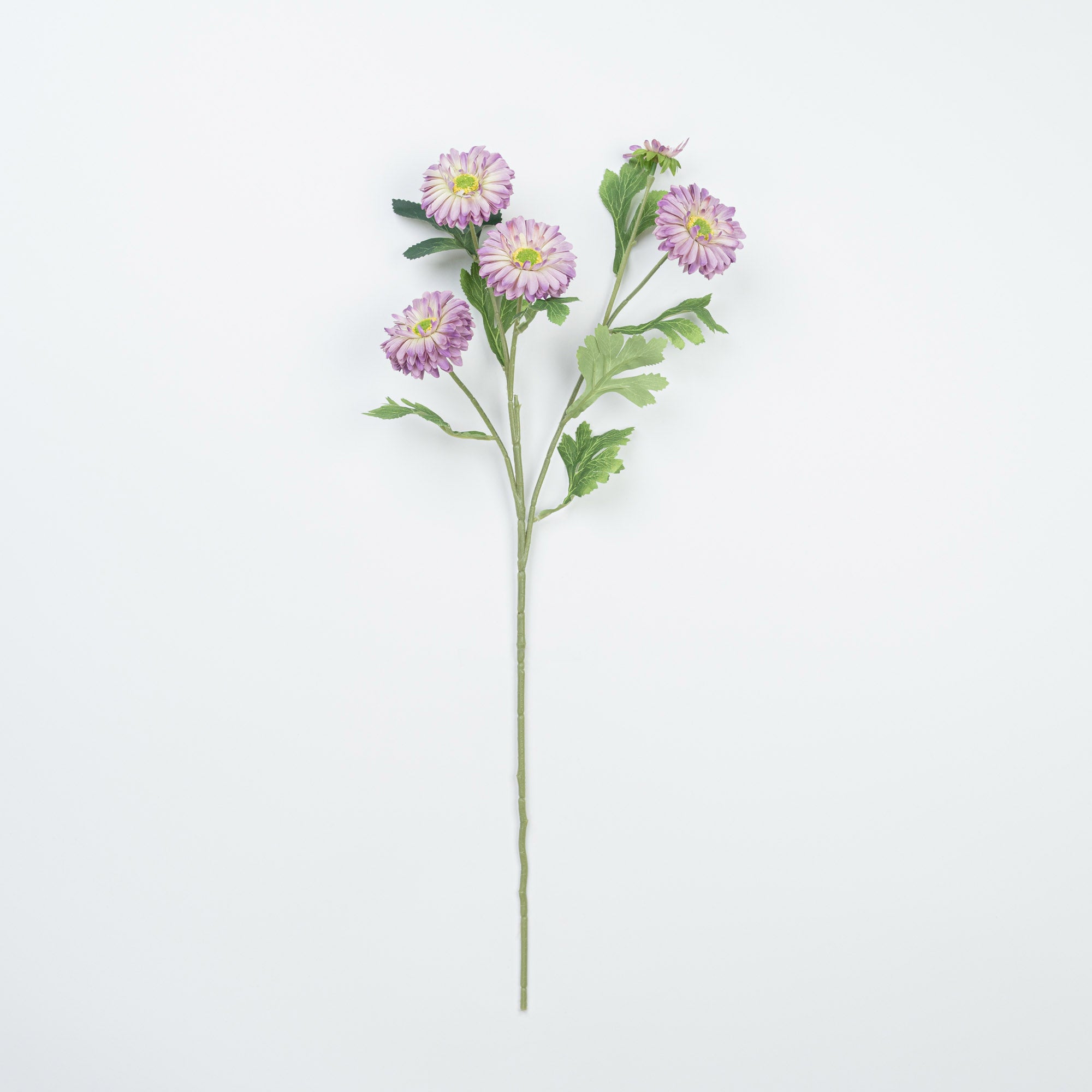 26" DAISY SPRAY
