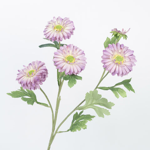 26" DAISY SPRAY