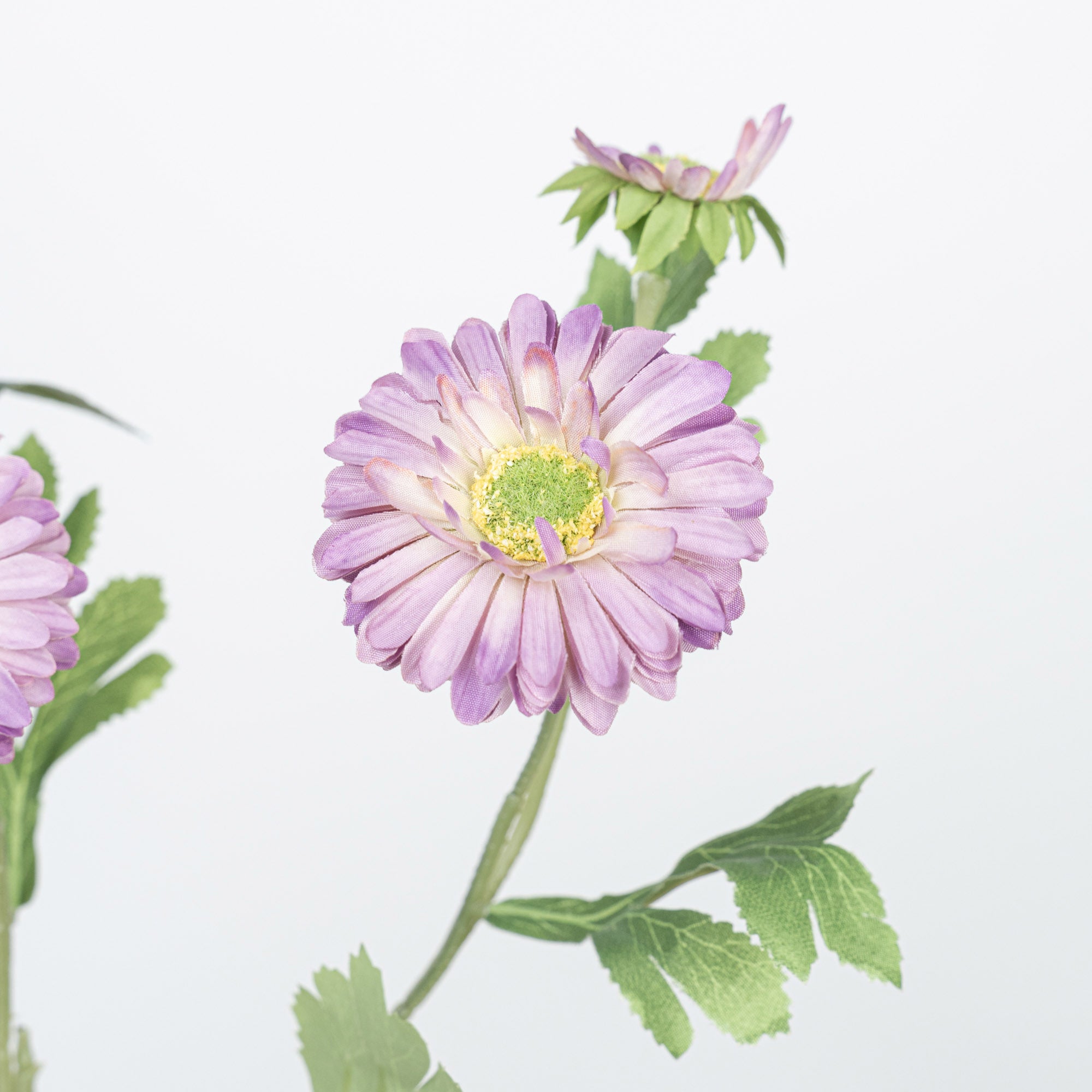 26" DAISY SPRAY