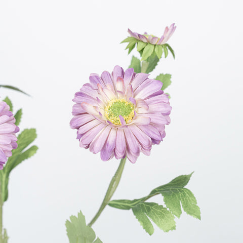 26" DAISY SPRAY