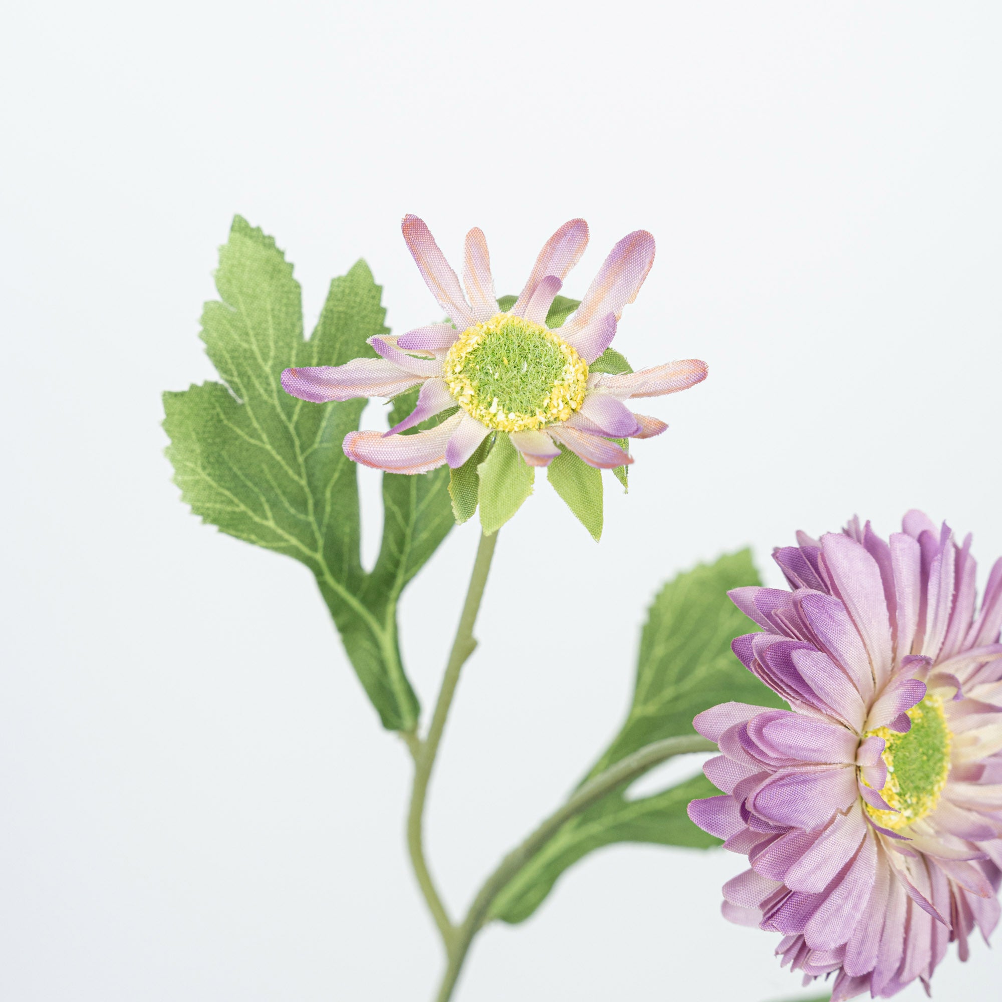 26" DAISY SPRAY