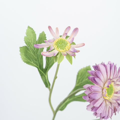 26" DAISY SPRAY