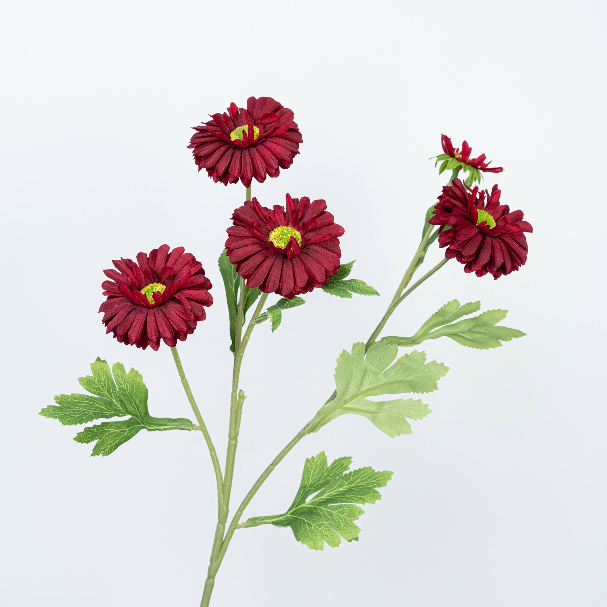 26" DAISY SPRAY