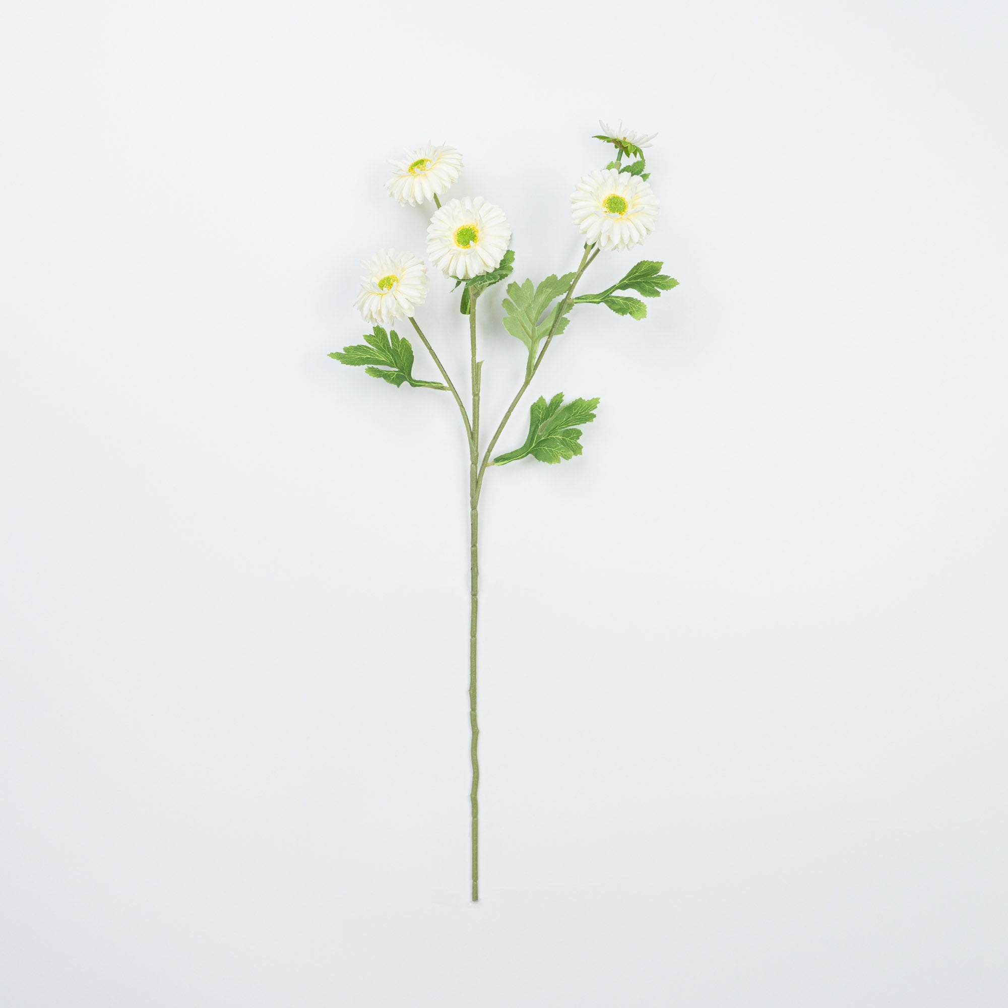 26" DAISY SPRAY