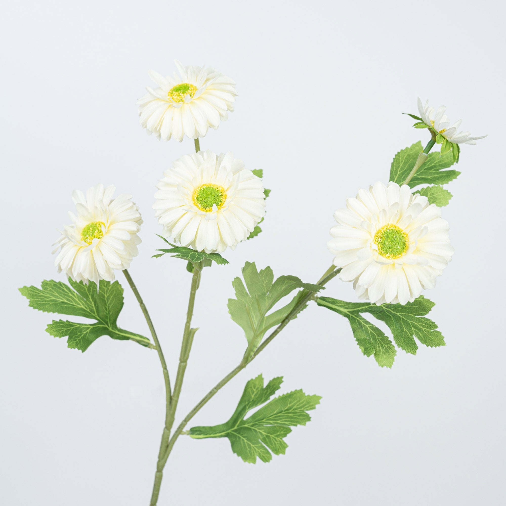 26" DAISY SPRAY