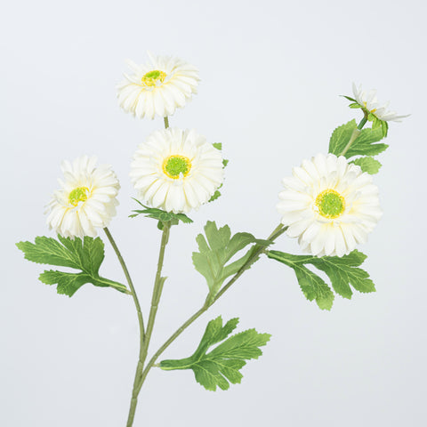 26" DAISY SPRAY
