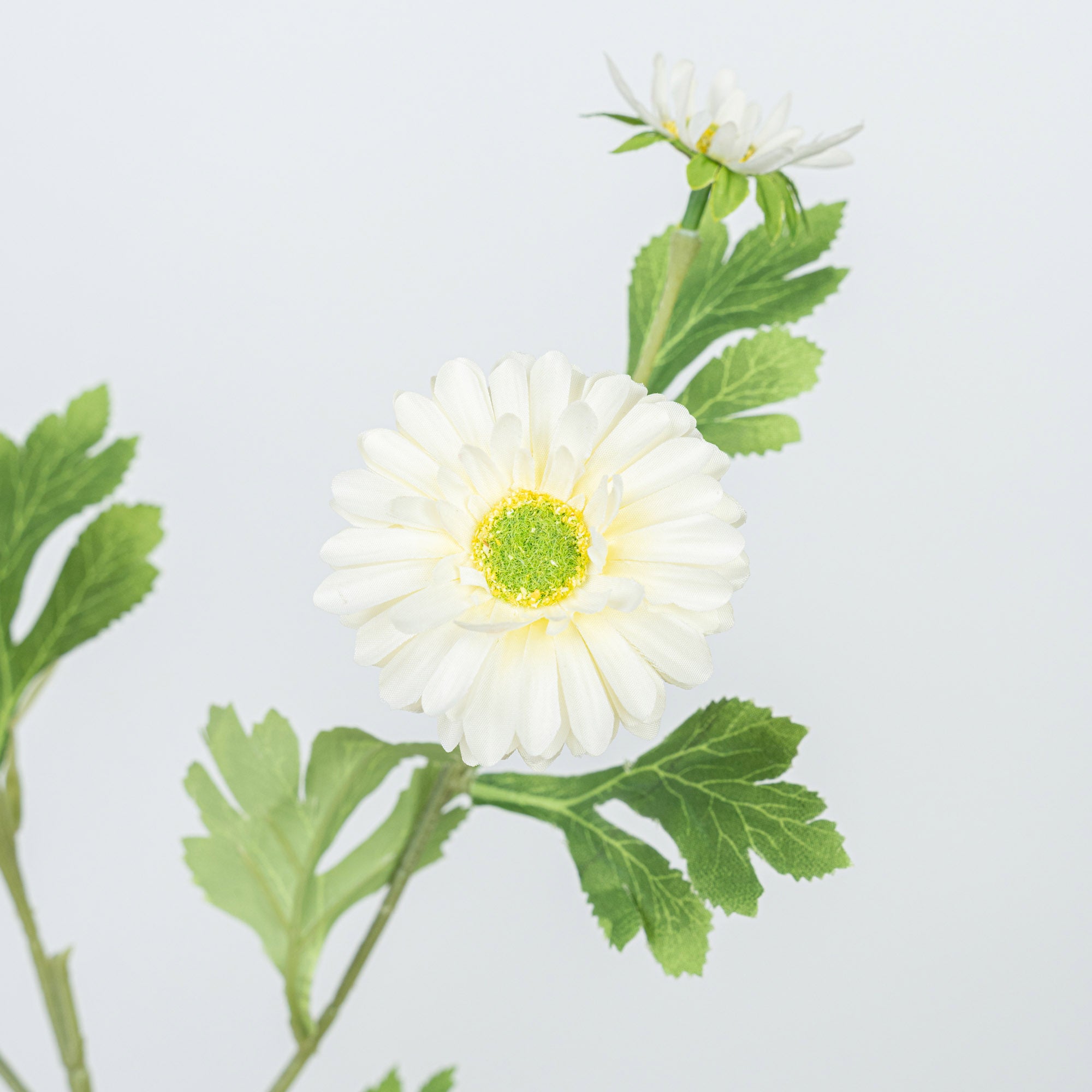 26" DAISY SPRAY