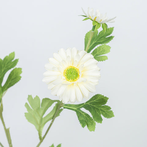26" DAISY SPRAY