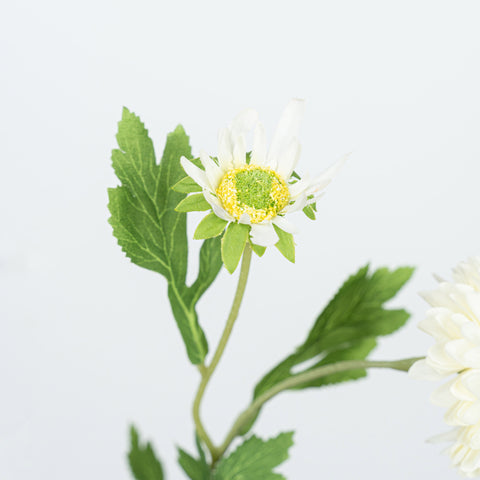 26" DAISY SPRAY