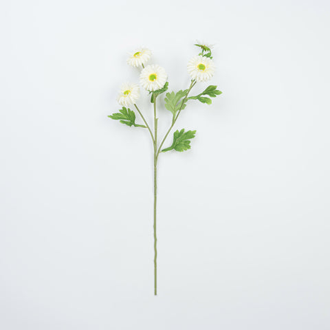 26" DAISY SPRAY