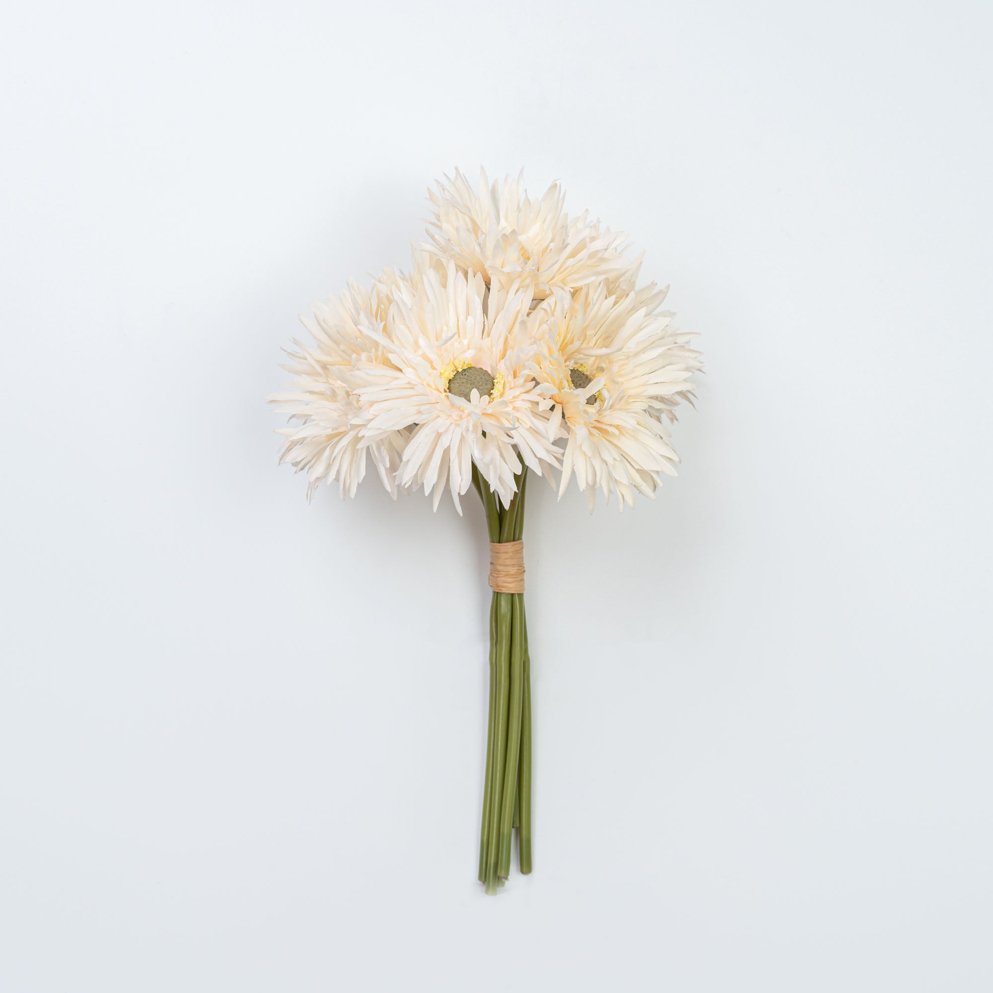12" GERBERA BUNDLE X 6