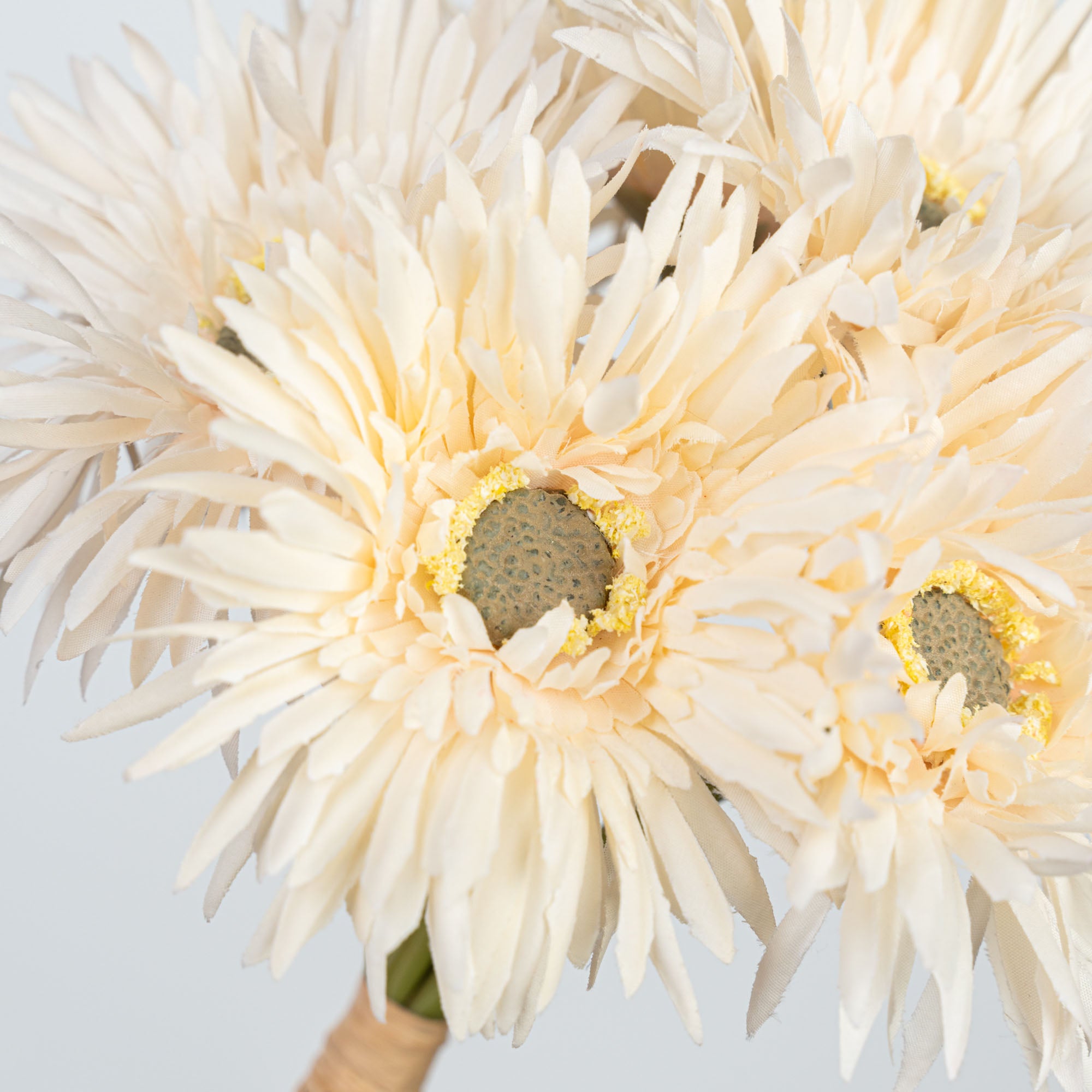 12" GERBERA BUNDLE X 6