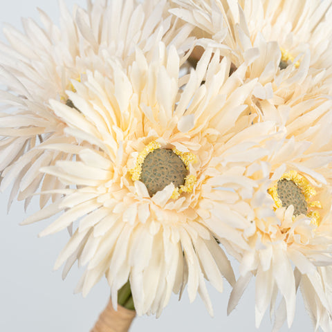 12" GERBERA BUNDLE X 6