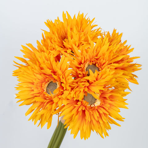 12" GERBERA BUNDLE X 6