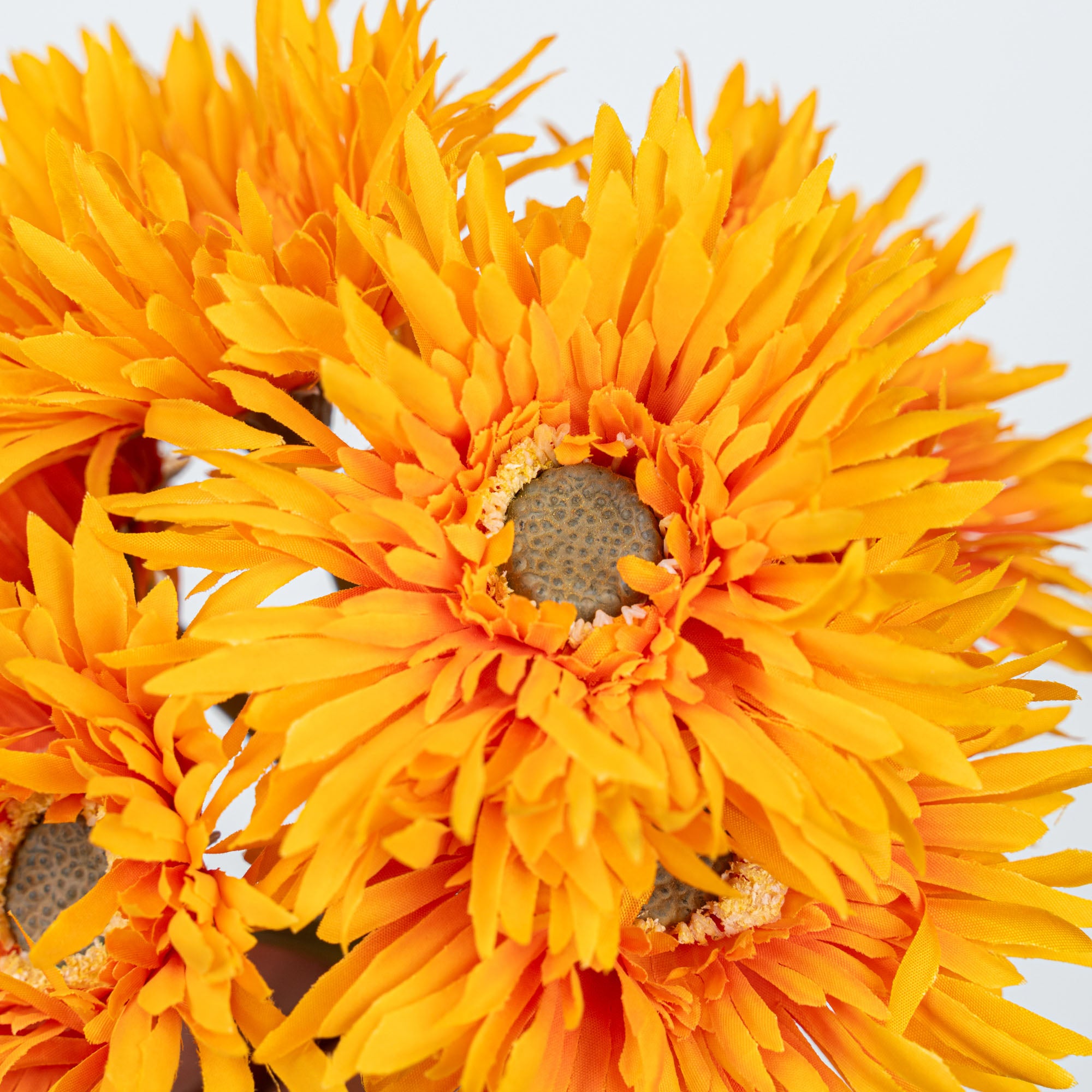 12" GERBERA BUNDLE X 6