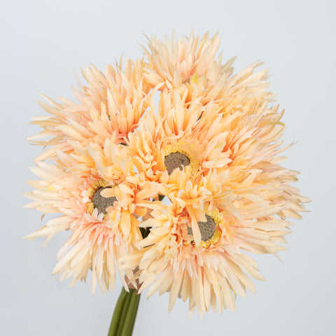12" GERBERA BUNDLE X 6