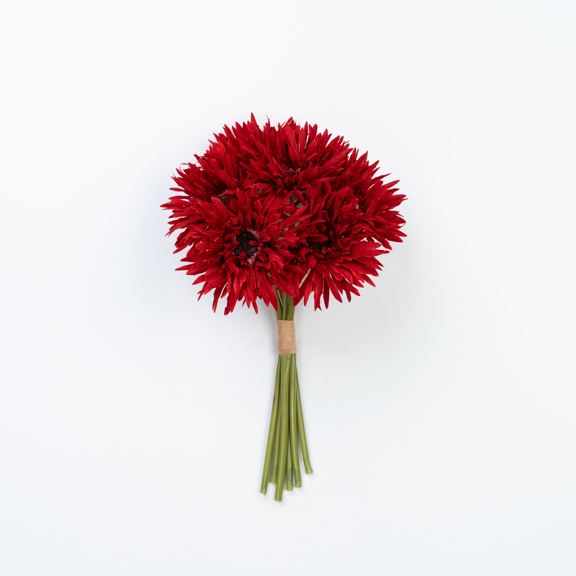 12" GERBERA BUNDLE X 6