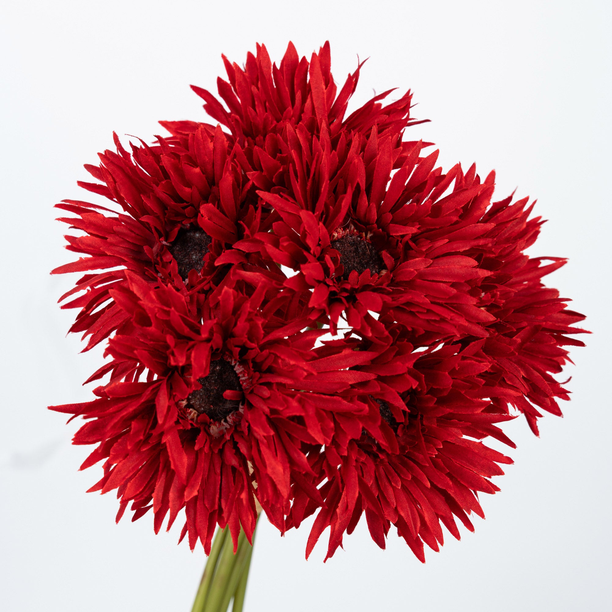 12" GERBERA BUNDLE X 6