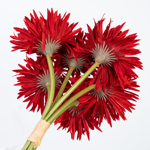 12" GERBERA BUNDLE X 6