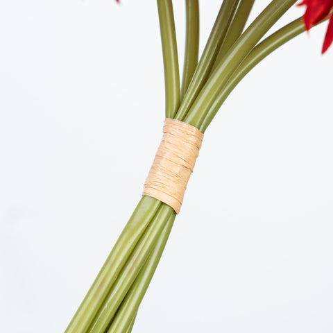 12" GERBERA BUNDLE X 6