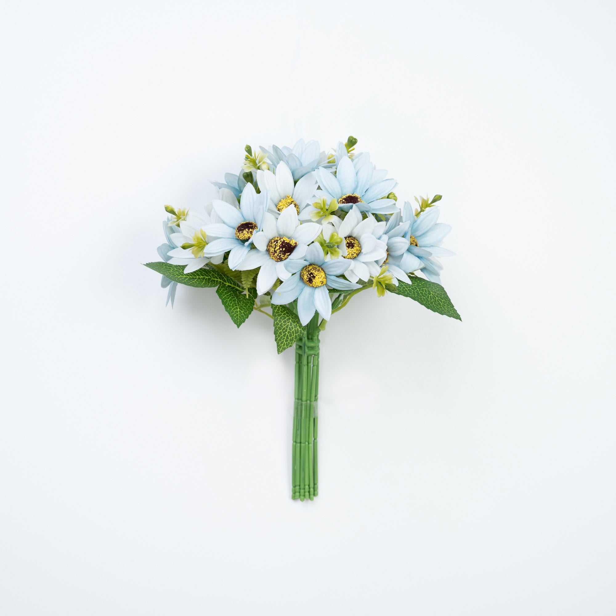 11" DAISY BUNDLE