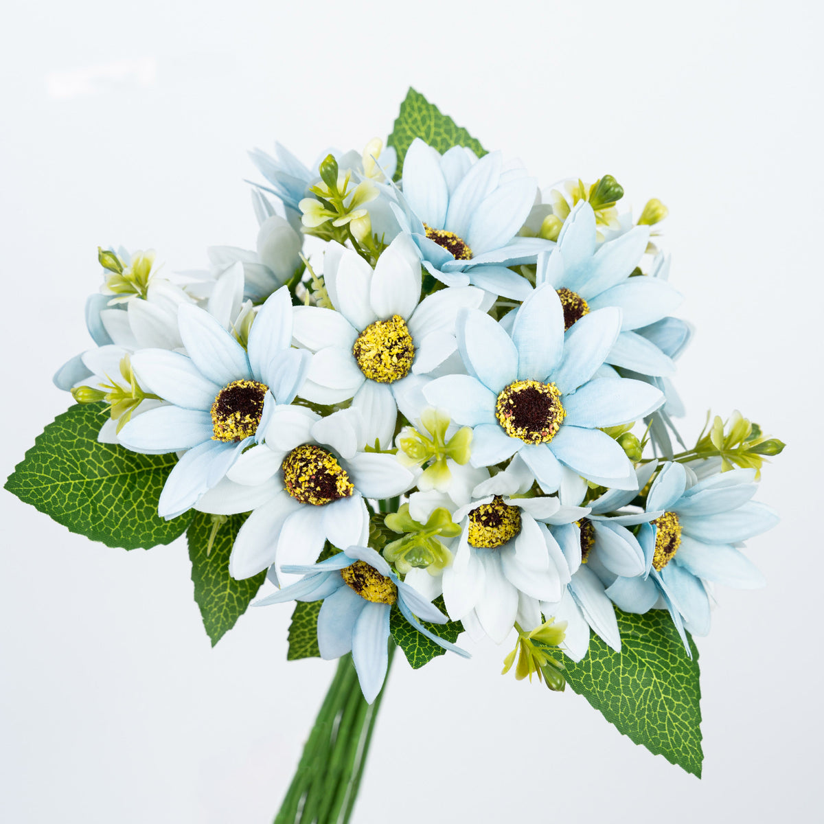 11" DAISY BUNDLE