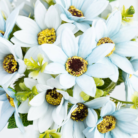 11" DAISY BUNDLE