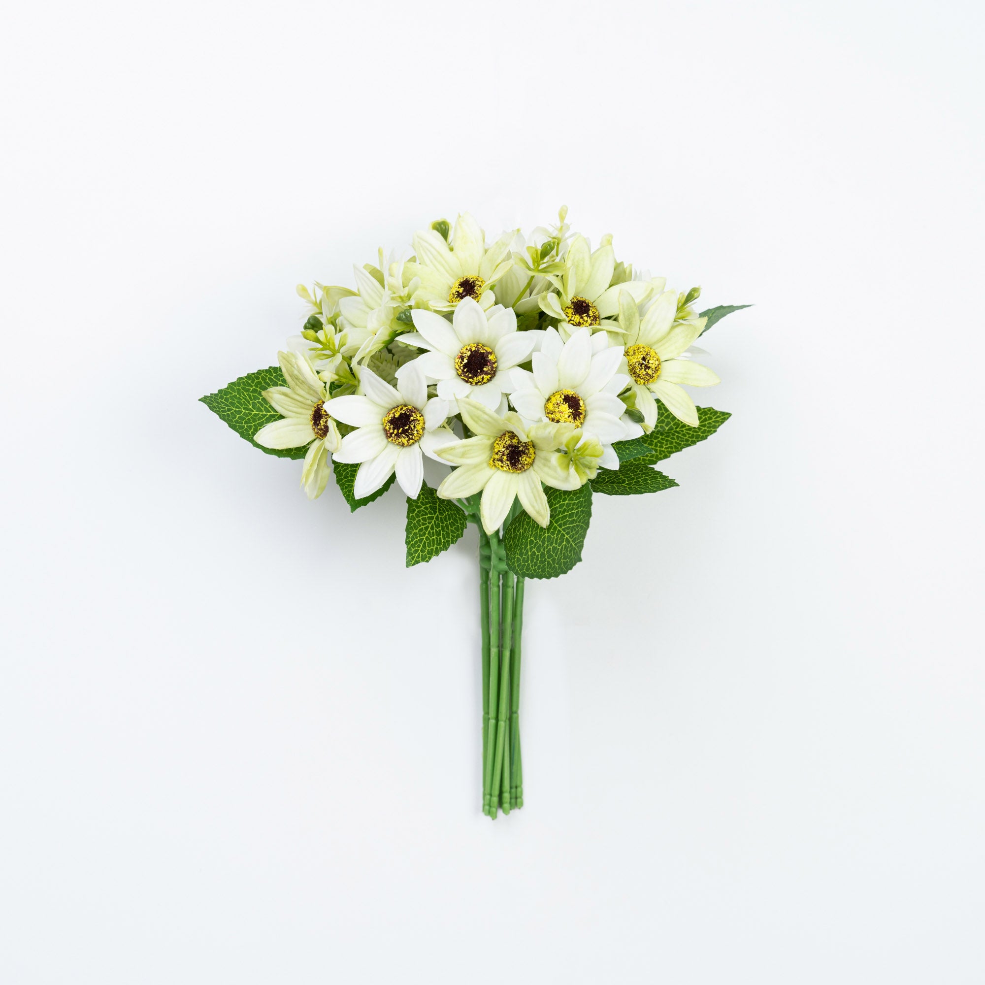 11" DAISY BUNDLE