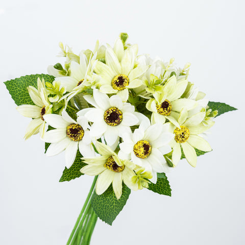 11" DAISY BUNDLE