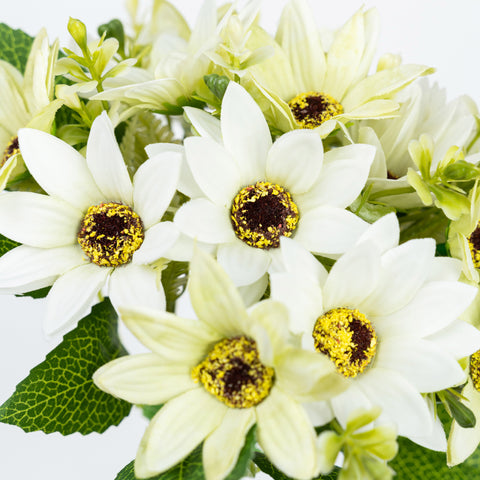 11" DAISY BUNDLE