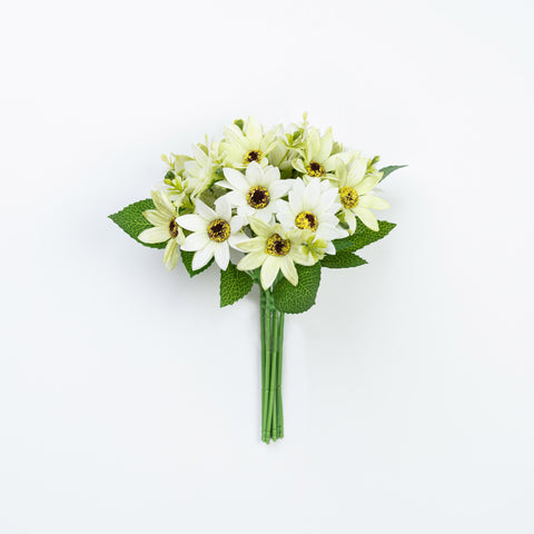 11" DAISY BUNDLE