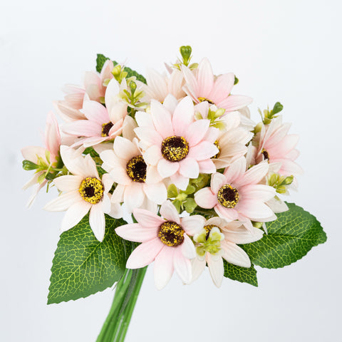 11" DAISY BUNDLE