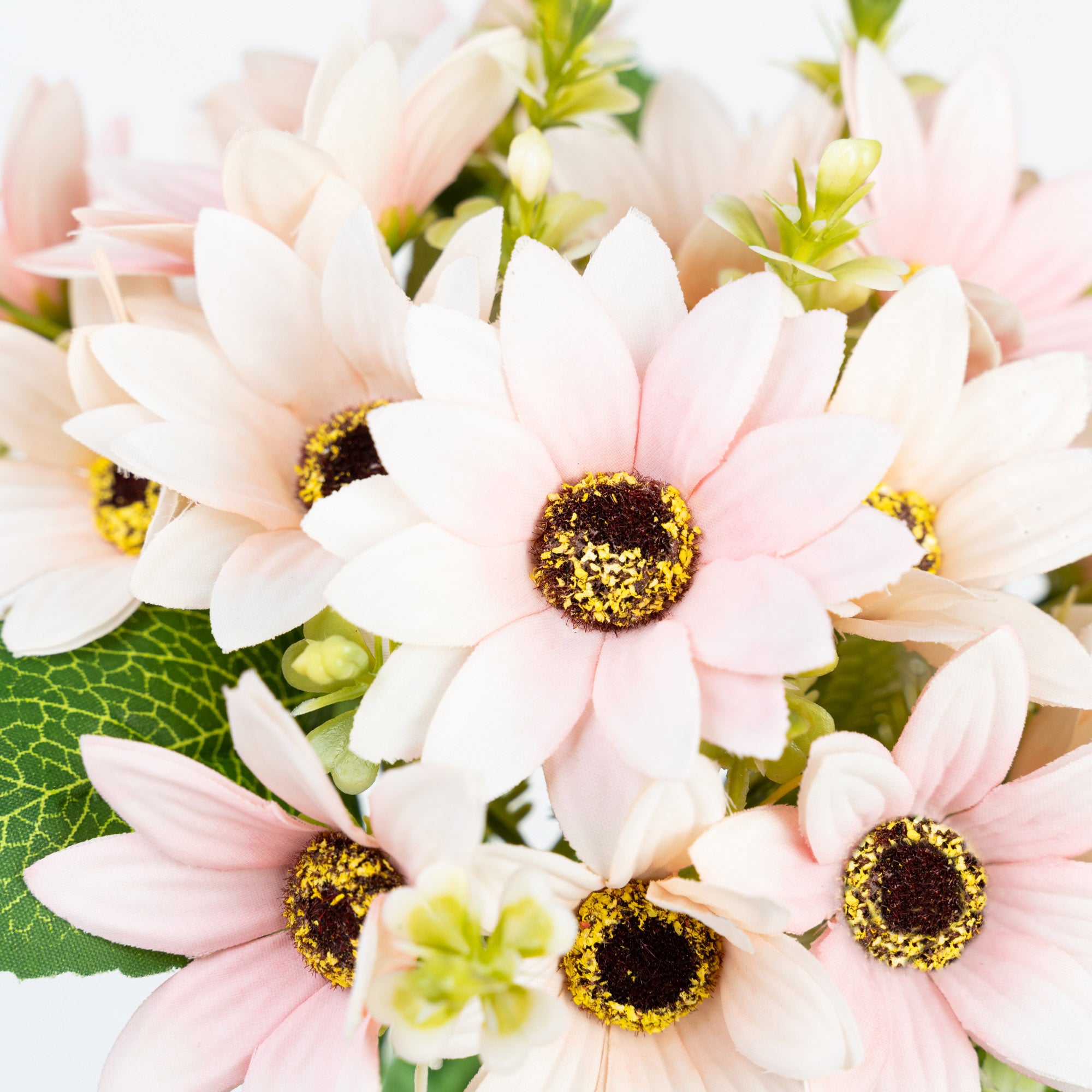11" DAISY BUNDLE