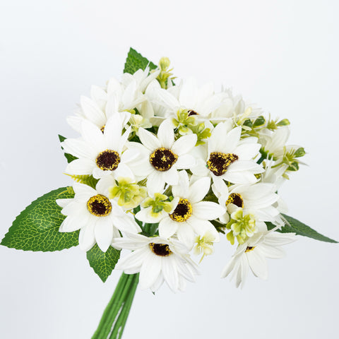 11" DAISY BUNDLE