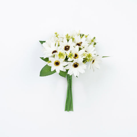 11" DAISY BUNDLE