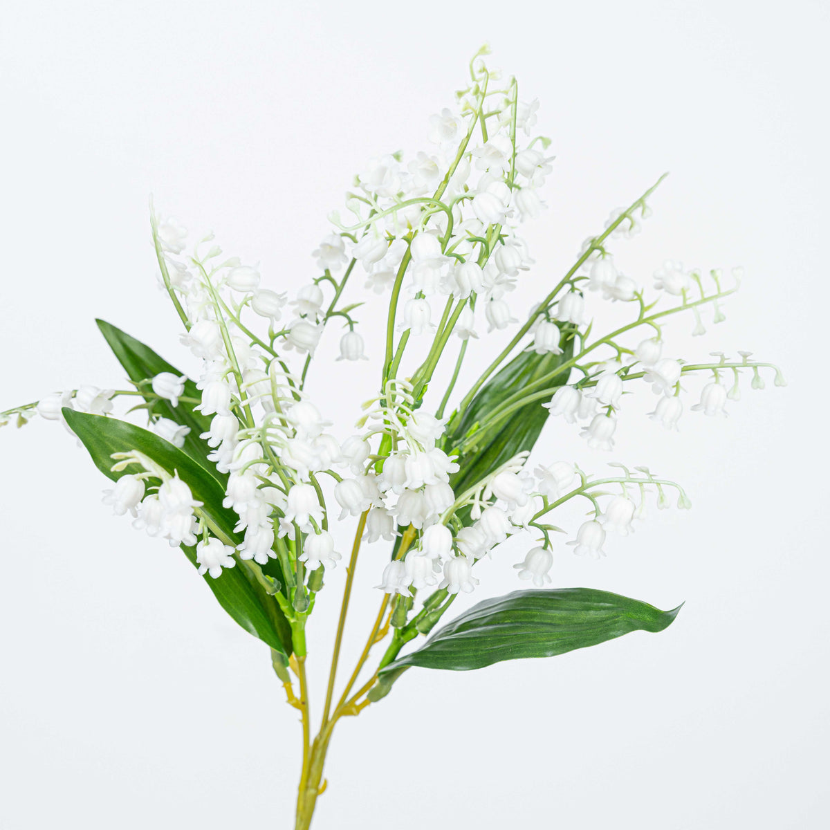 13" LILY OF THE VALLEY BUSH X 5