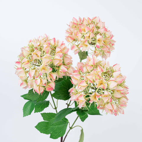 27" SNOWBALL SPRAY X 3