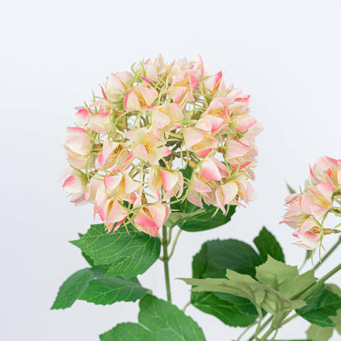 27" SNOWBALL SPRAY X 3