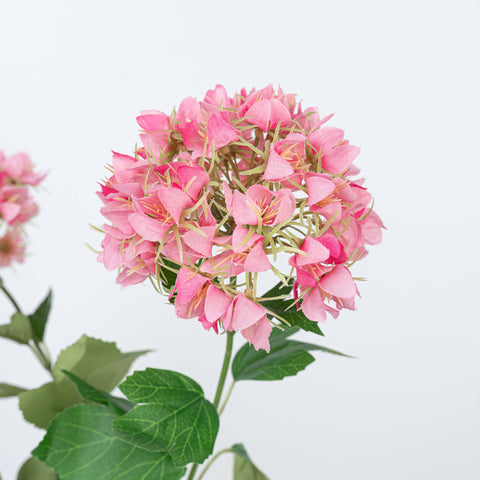 27" SNOWBALL SPRAY X 3