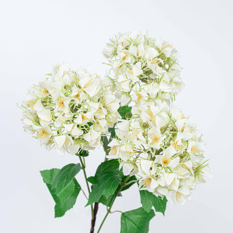 27" SNOWBALL SPRAY X 3