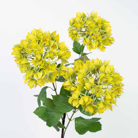 27" SNOWBALL SPRAY X 3